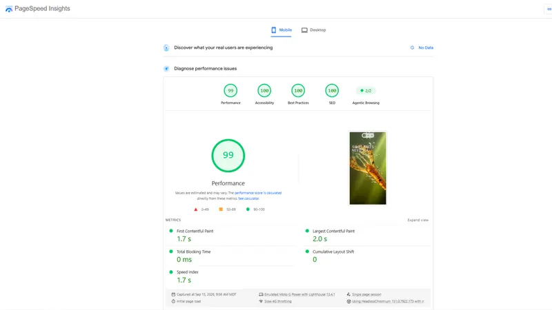 Google PageSpeed Insights showing 99 performance and 100 for accessibility, best practices and SEO on mobile for deadstickbaits.com